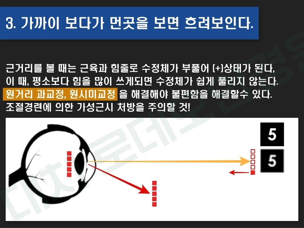 아비오르 이미지