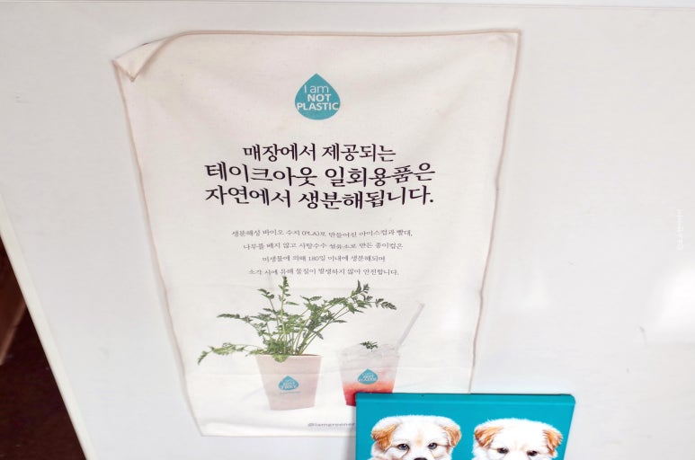 푼푼샌드 이미지