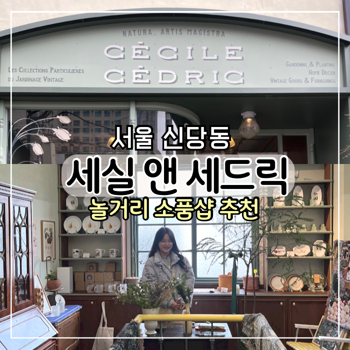 세실앤 이미지