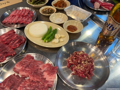 바이소 이미지