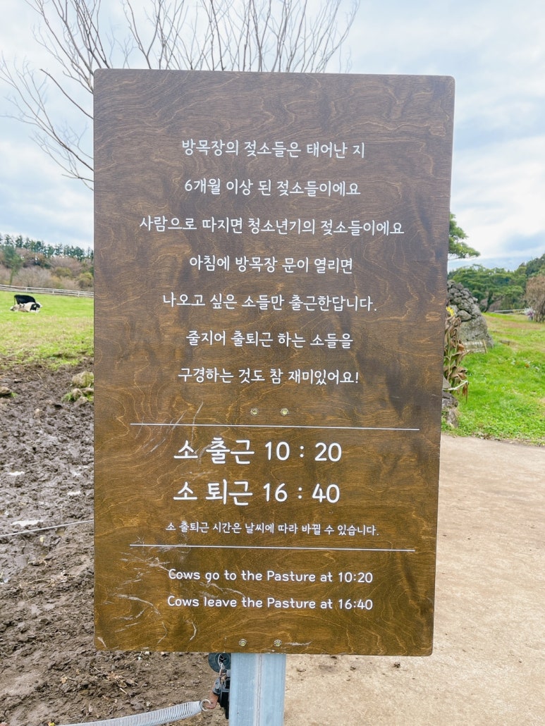아침목장 이미지