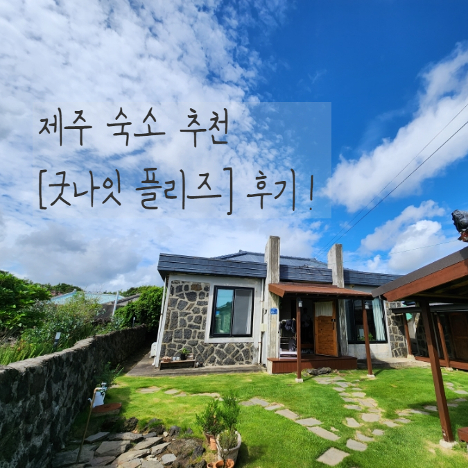 굿나잇플리즈 이미지