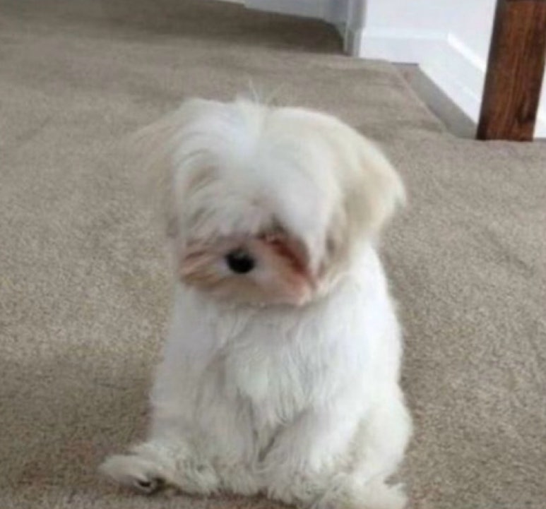쉽커피 이미지