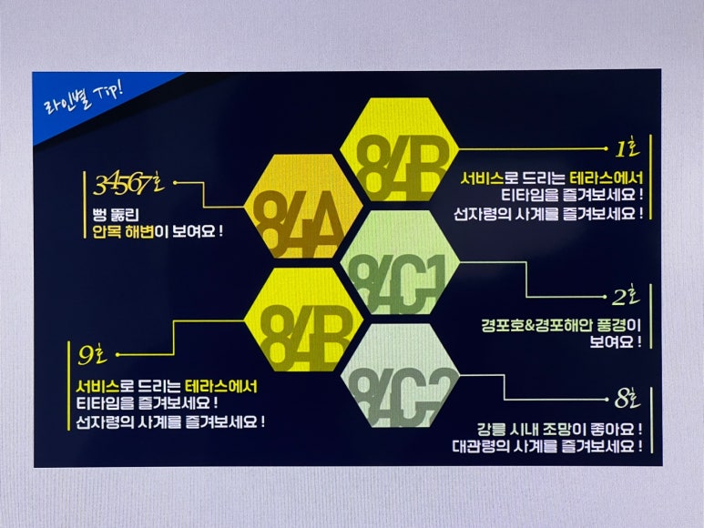 경포8호 이미지