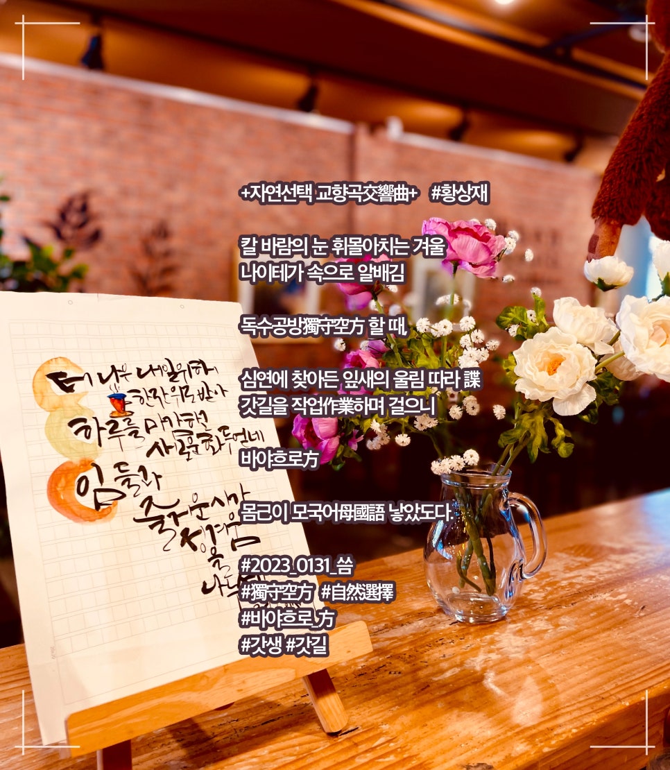 더하임 이미지