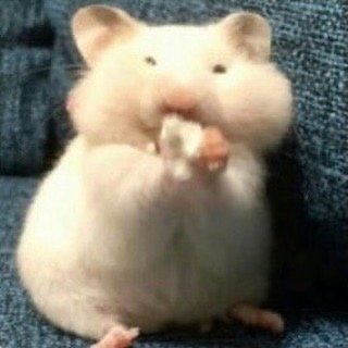 월배시장 이미지