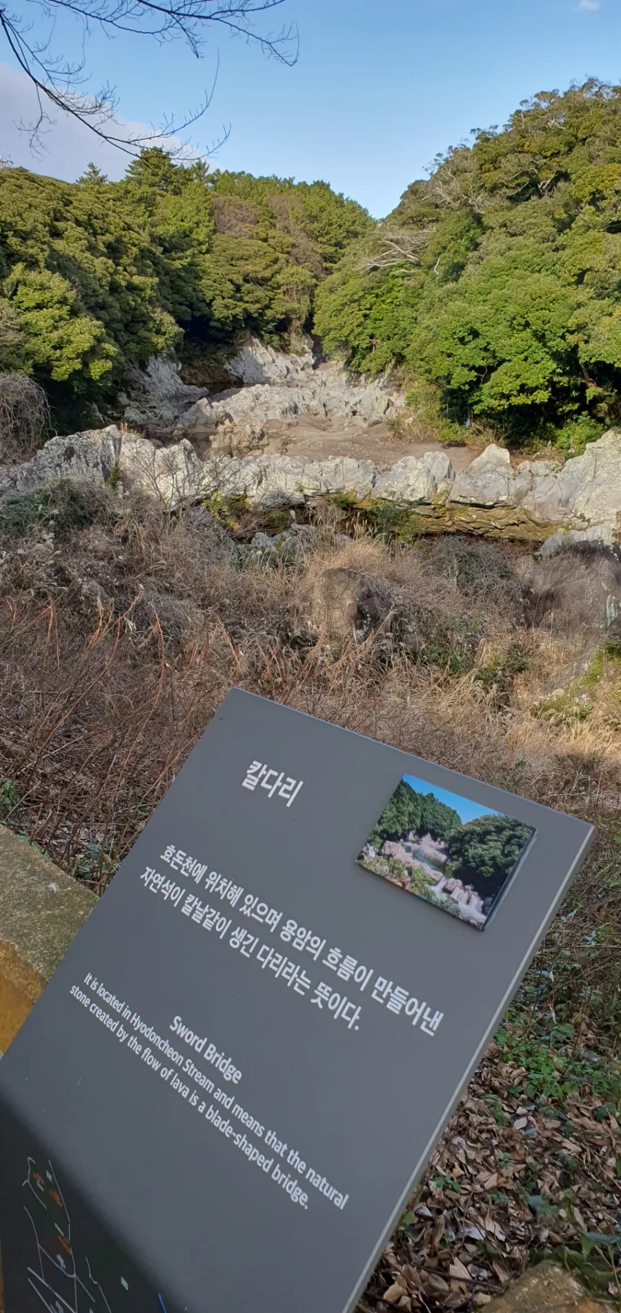 염광의원 이미지