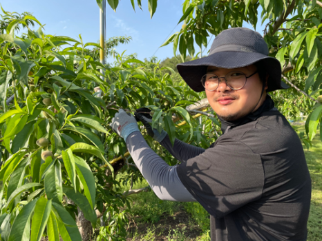 영주도매유통 이미지