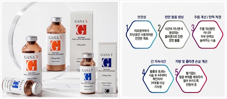 가나필아 이미지