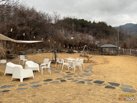 피피비피 이미지