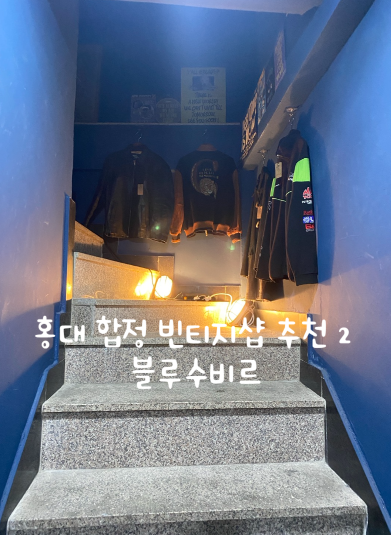 블루수비르 이미지