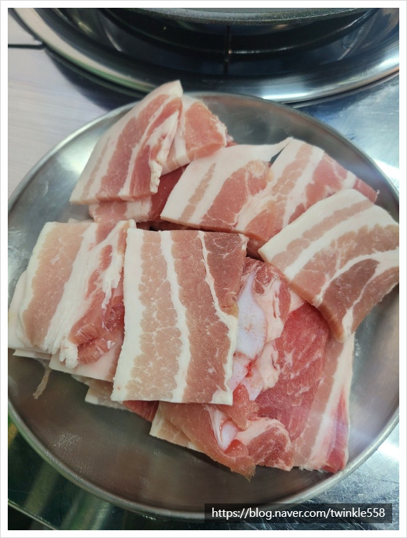 돼지벅스 이미지