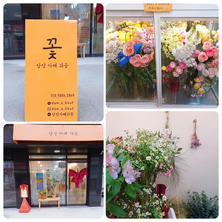 담장아래과꽃 이미지