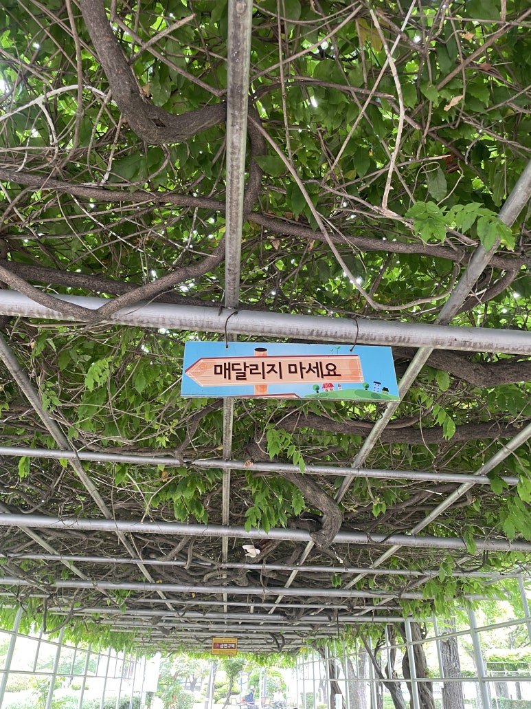 이디야커피 북촌마을점 이미지
