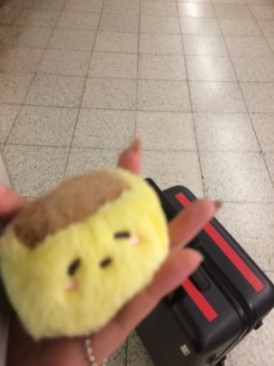 스카이마쓰 이미지