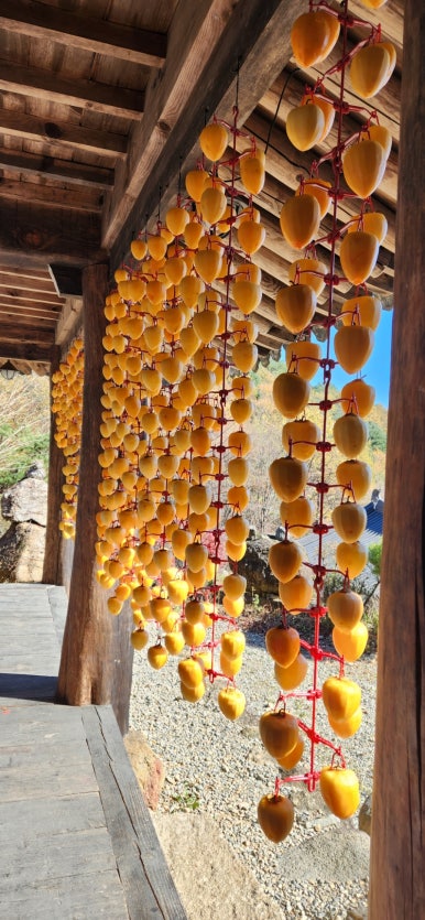 지리산청학재 이미지