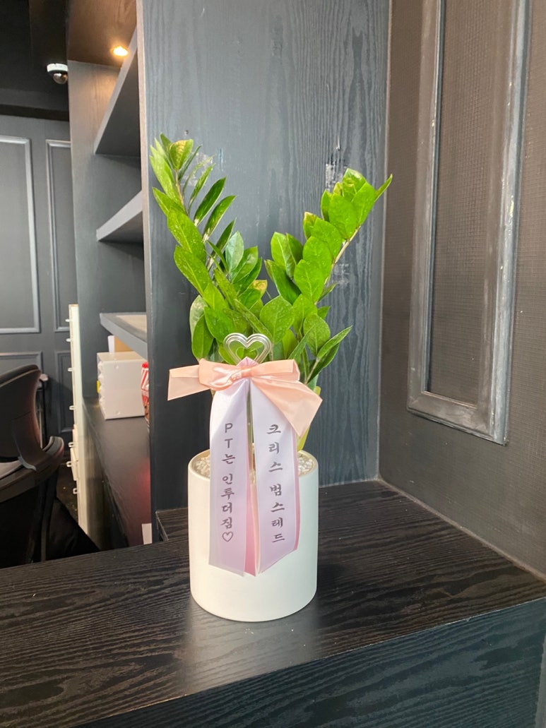 인투더짐 이미지