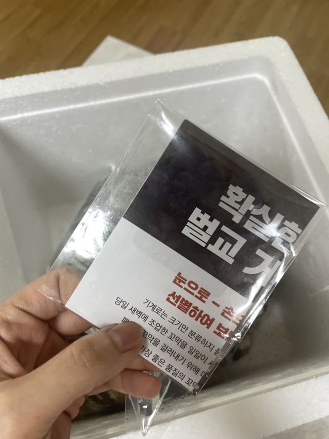 거거수산 이미지