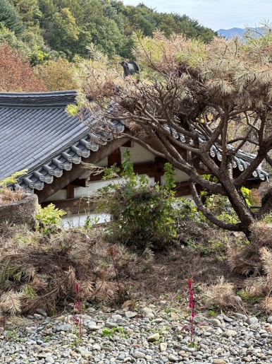 지리산청학재 이미지