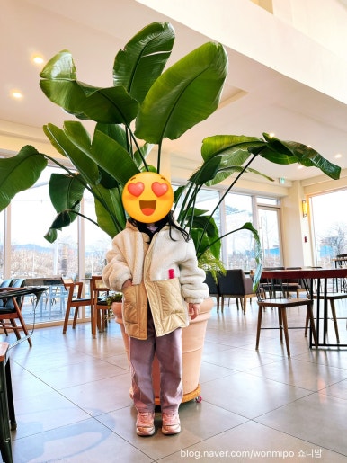 카페 엘(CAFE L) 이미지