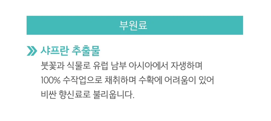 트라이엄프뉴)트라이엄프뉴 이미지