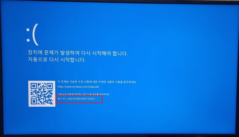 블루컴퓨터 이미지