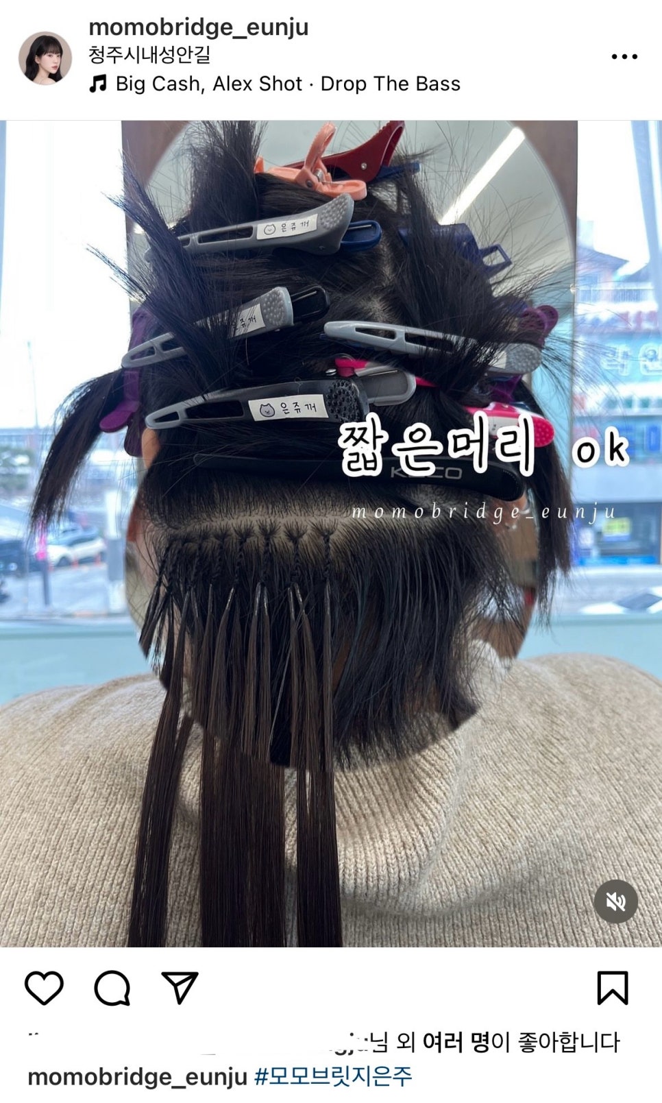 모모브릿지 이미지