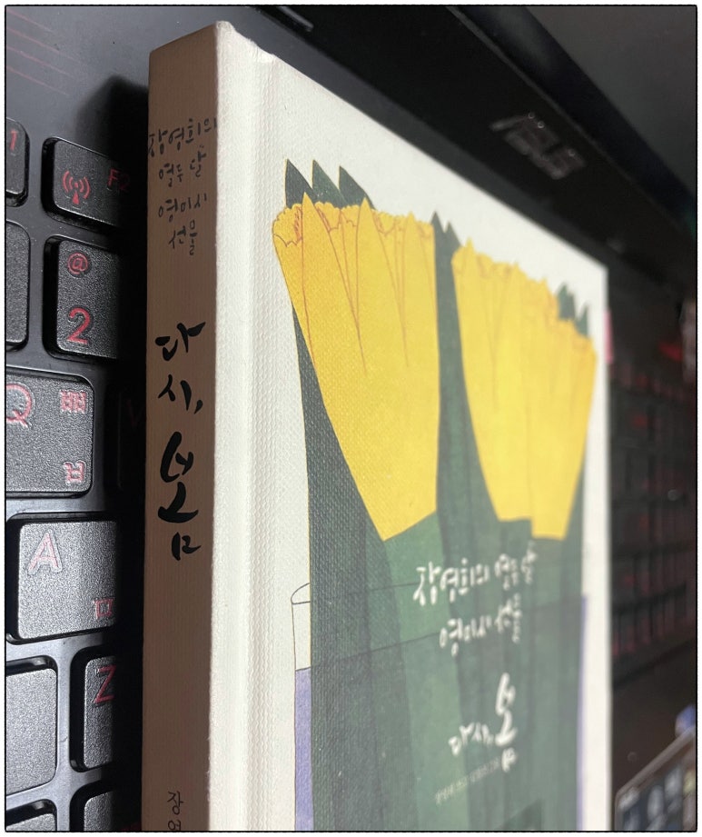 다시봄 이미지