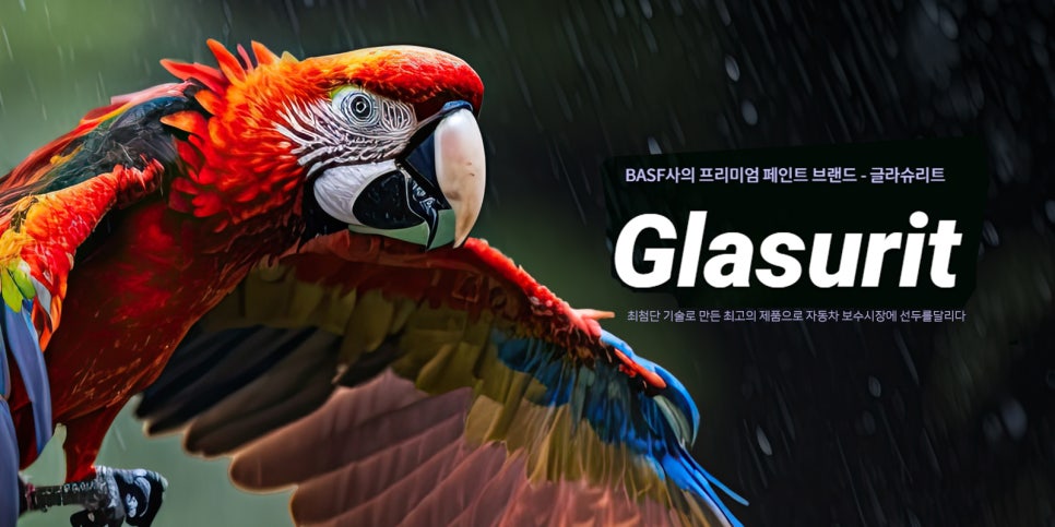 조광보수 이미지