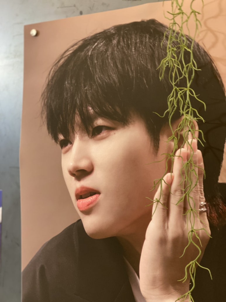 우현조경 이미지