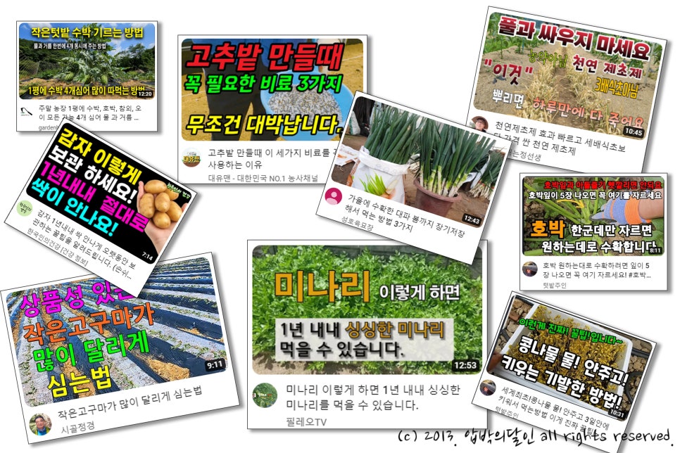 삼일정육점 이미지