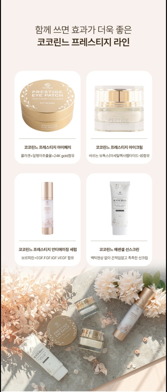 코코린느 이미지