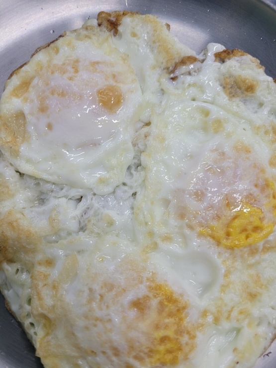 고기벅스 이미지