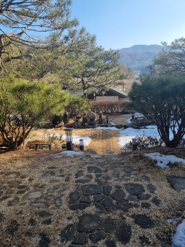 비발디스케치북 이미지