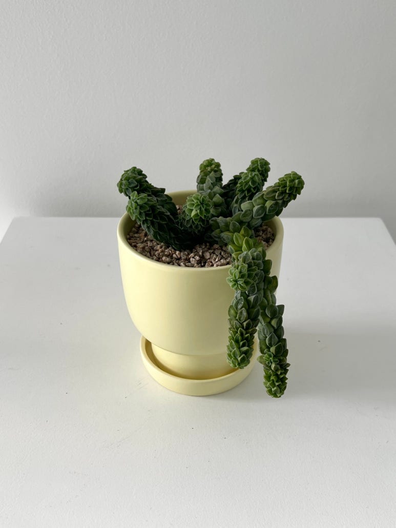 청미다육 이미지
