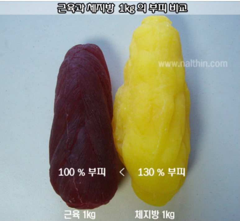 온드폴댄스 이미지