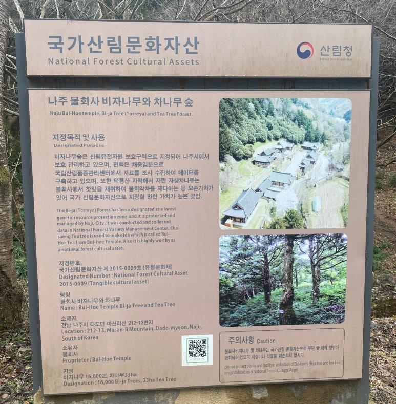 차나무숲 이미지