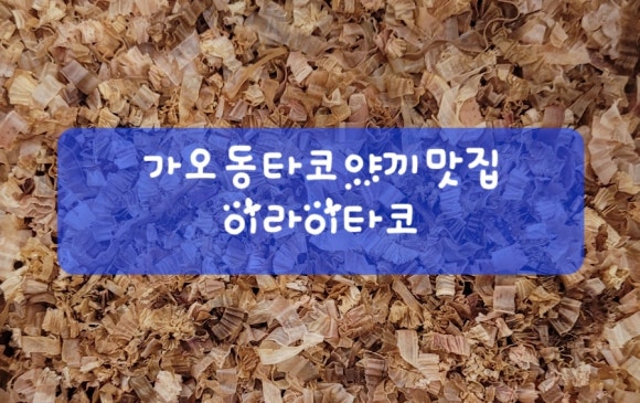 이라이타코야끼 이미지