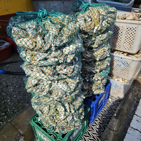 천왕수산 이미지