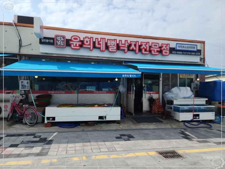 무안낙지 이미지