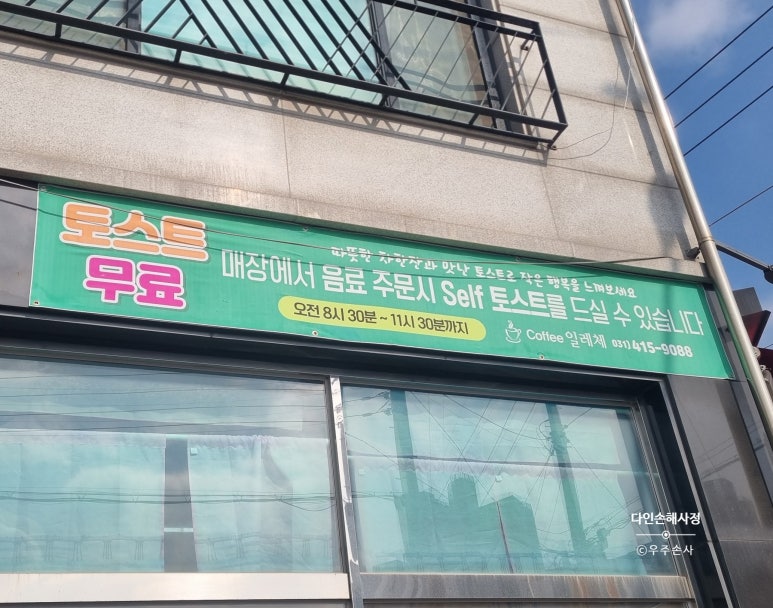 일레체 이미지