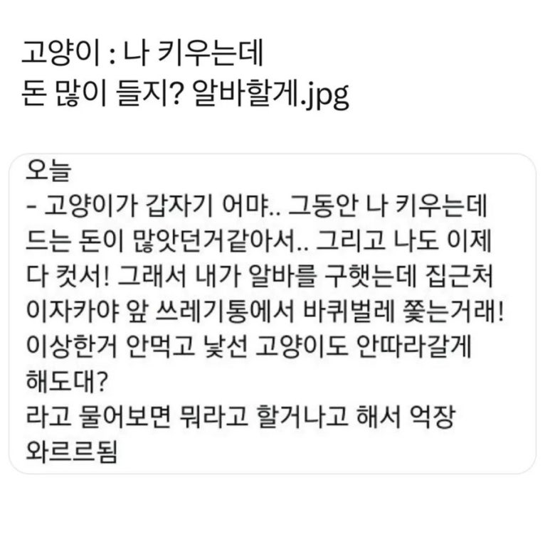 이가돈통 이미지