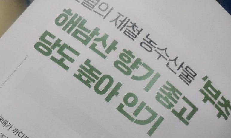 땅끝부추 이미지
