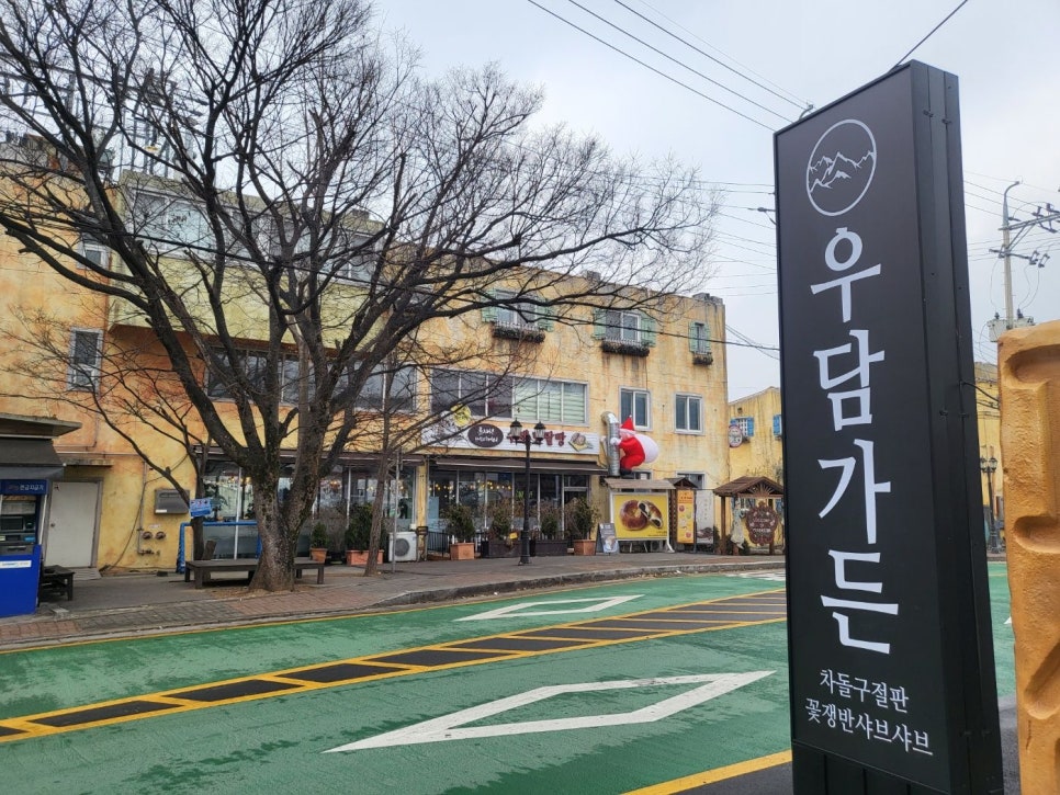 우담 이미지