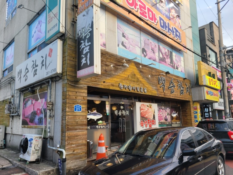 백승참치 이미지