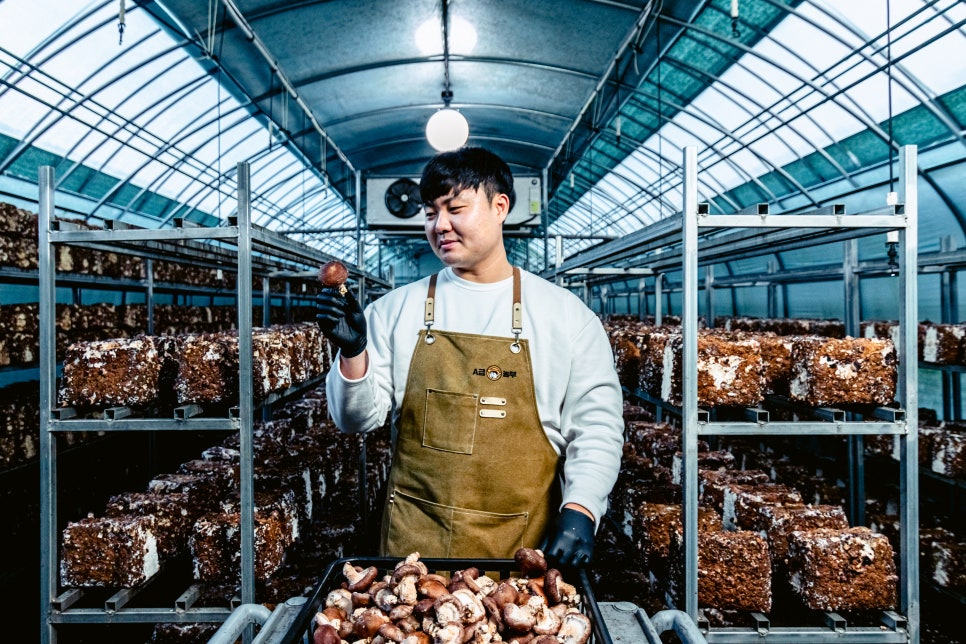 가치살자협동조합 이미지