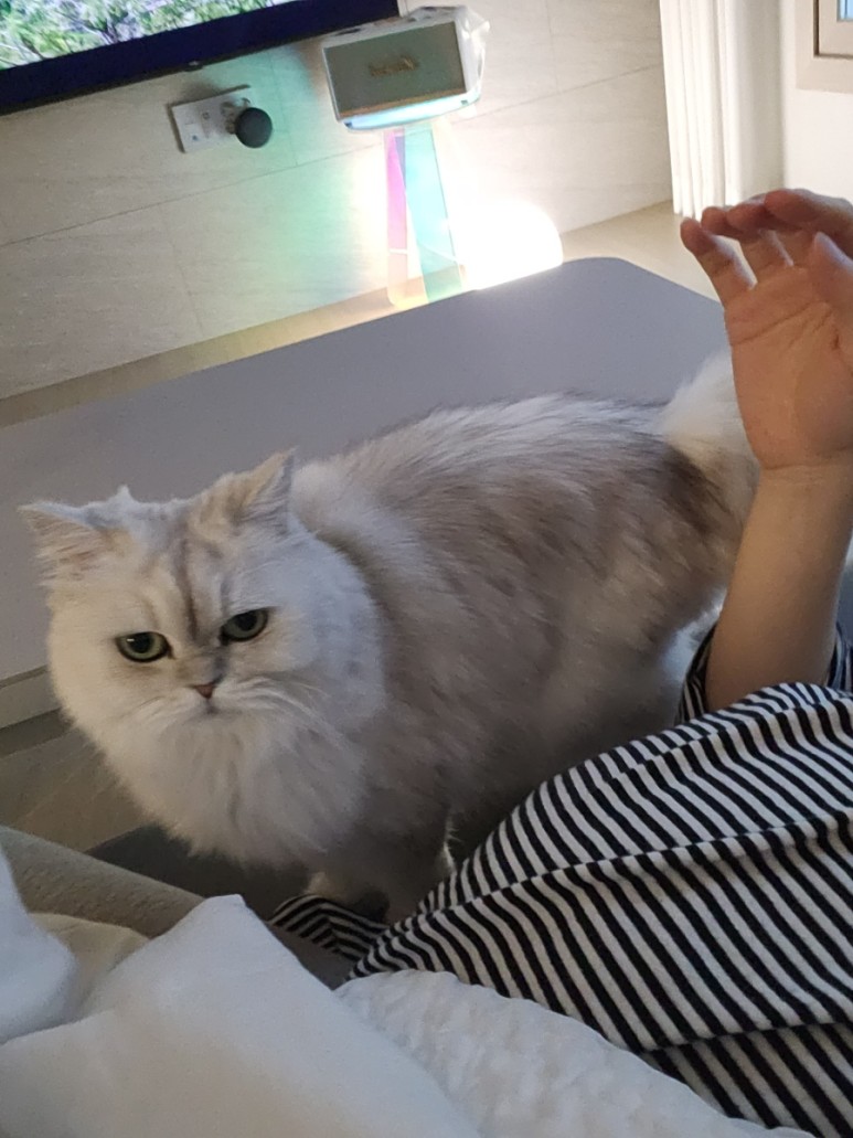 조은맘산후도우미 이미지