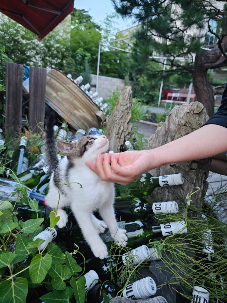 지유재 이미지