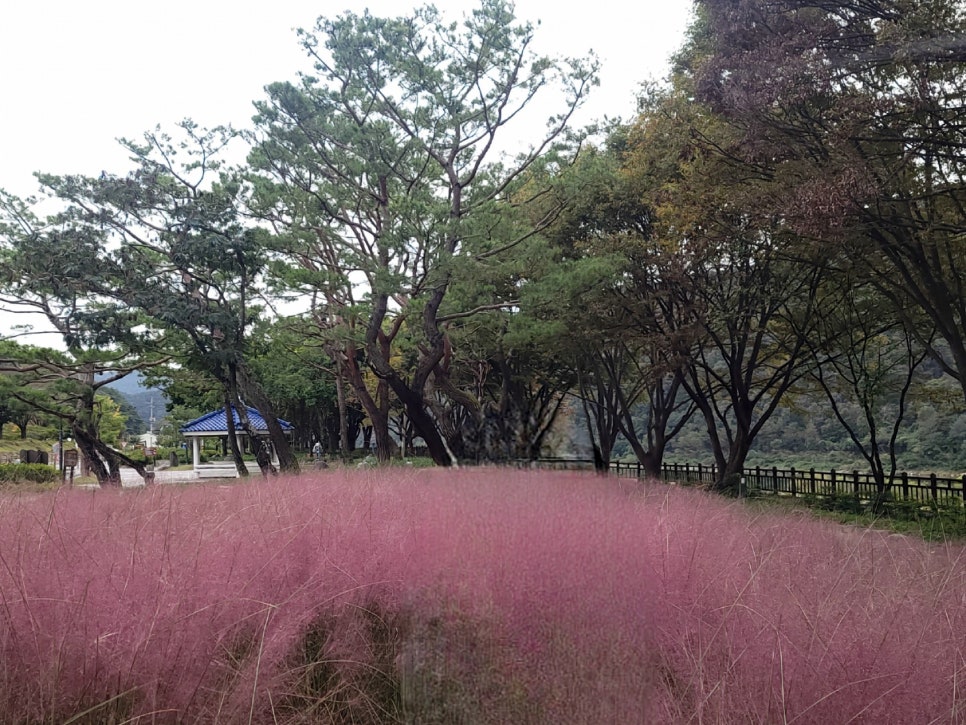 단양소백농협 가곡 하나로마트 이미지