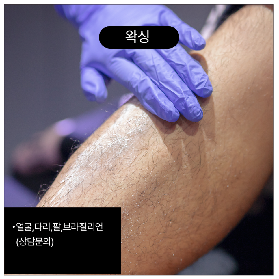 더아트펌주 이미지